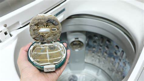 Washer Dirty Drum or Lint Trap