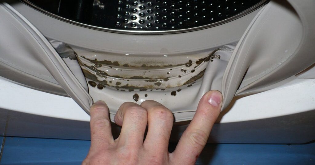 Mold and Mildew Build-Up