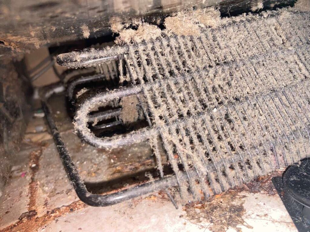 Fridge Dirty Condenser Coils