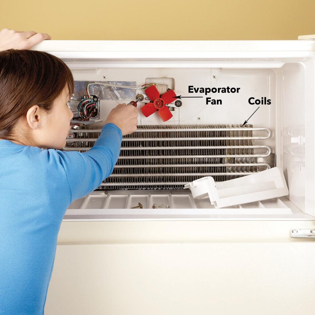 Fridge Faulty Evaporator Fan Motor