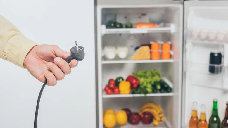 a person holding a power plug in front of an open refrigerator