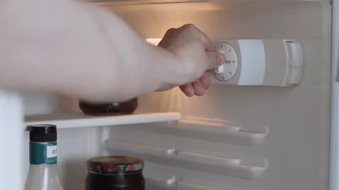 How to accurately measure the temperature inside a refrigerator