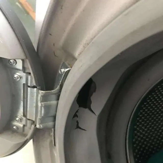  a damaged hinge area and a torn seal on a washing machine door