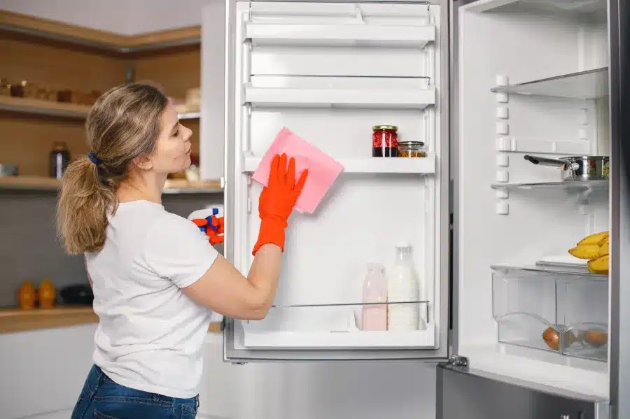 Provides pragmatic tips for maintaining a refrigerator.